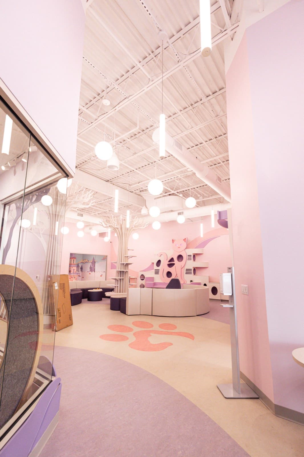 The Pink Paws café hall